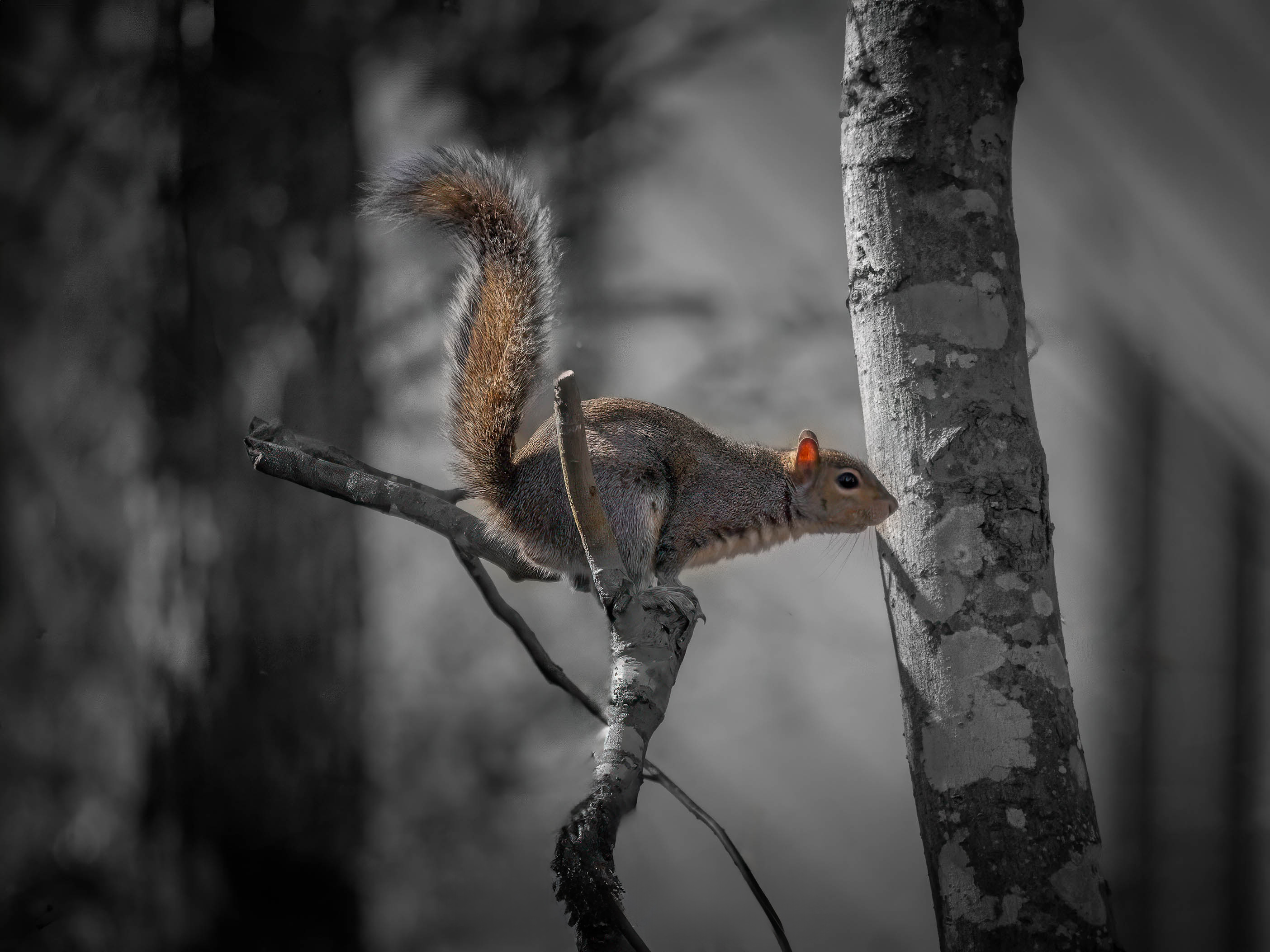 The Art of Connection: How Fine Art Photography Creates Emotional Resonance in Your Home