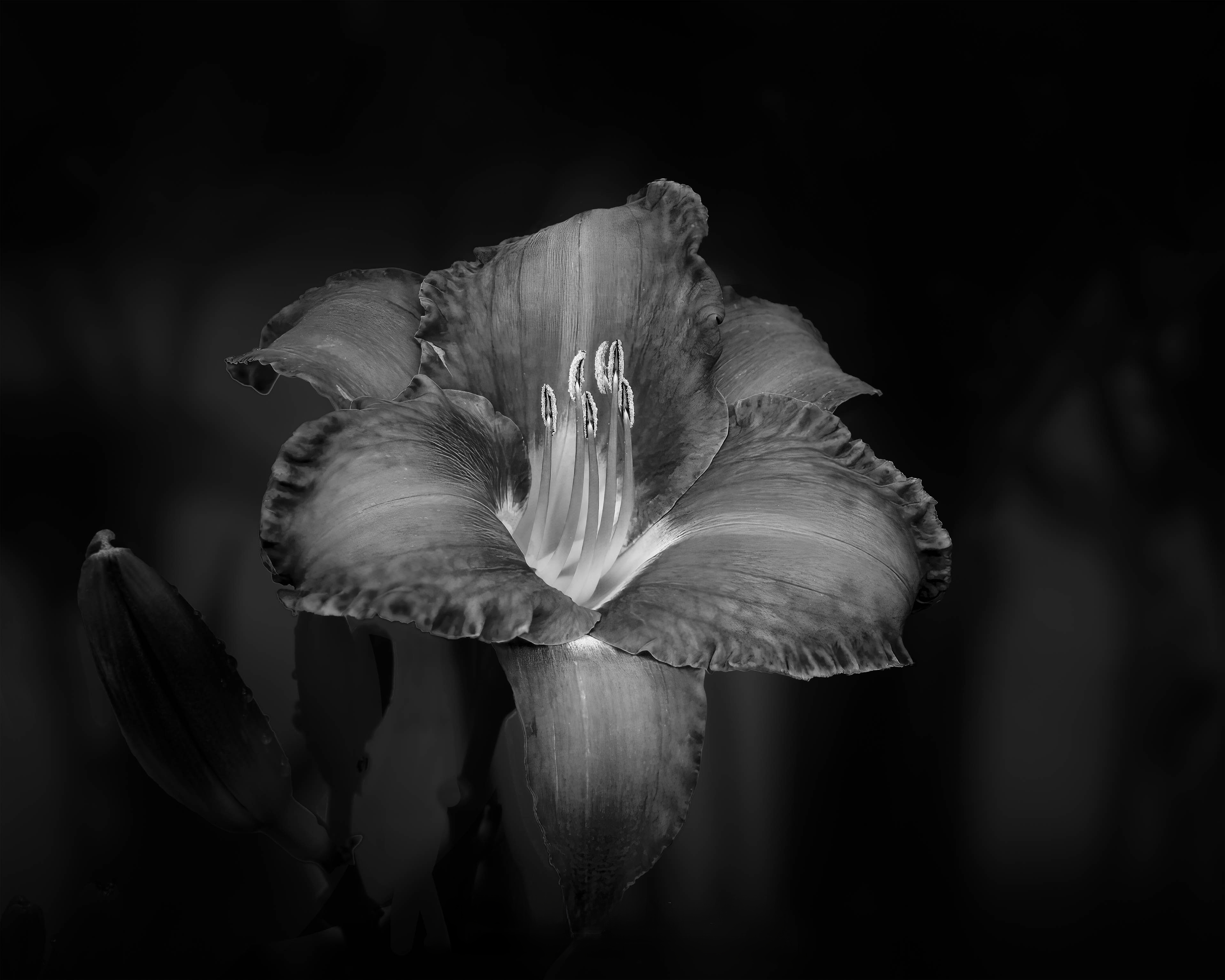 Open vs Limited Edition Prints: A Collector’s Guide to Rarity, Value, and Story