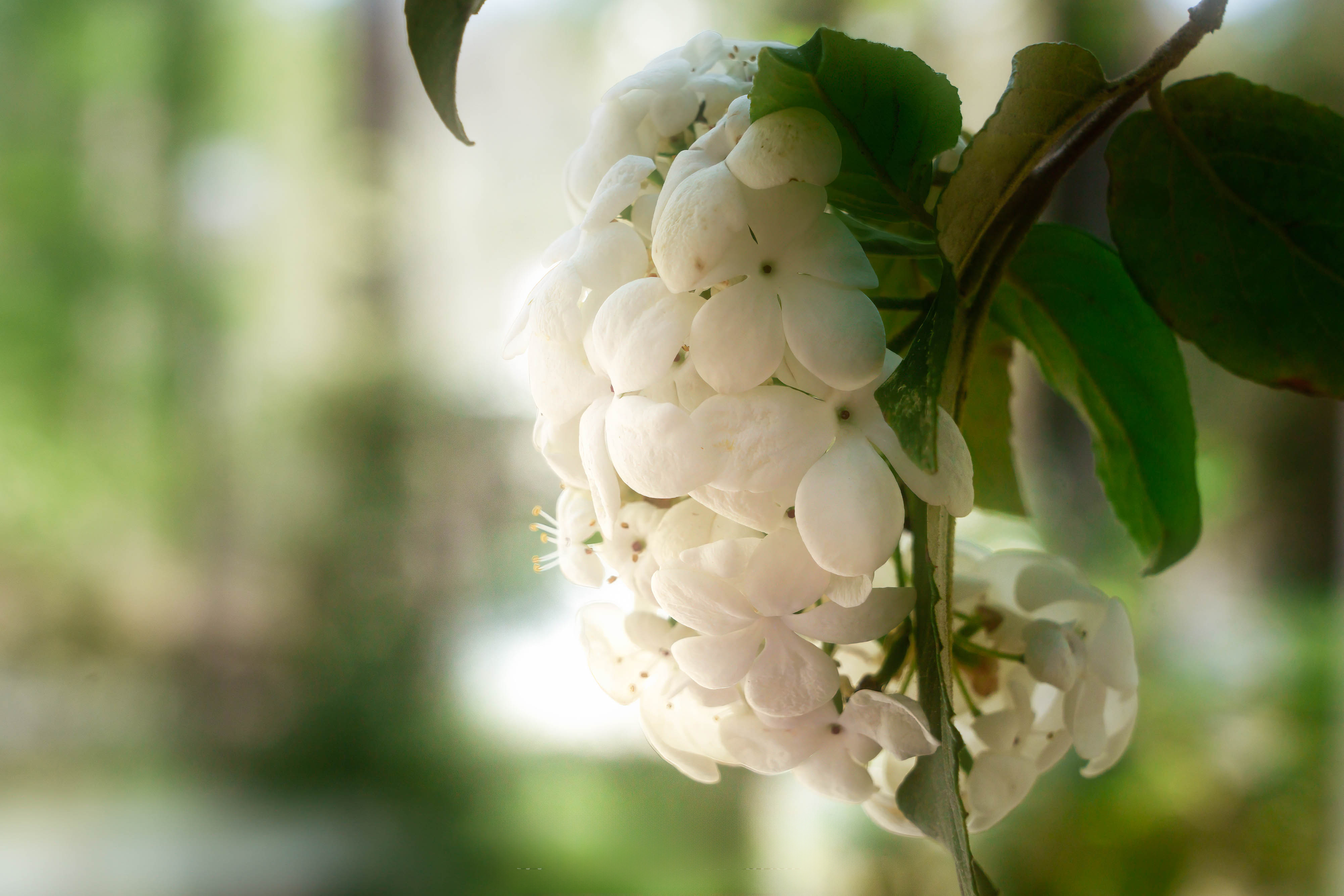 Personal. Timeless. Yours: How to Choose Photography Prints That Stick With You