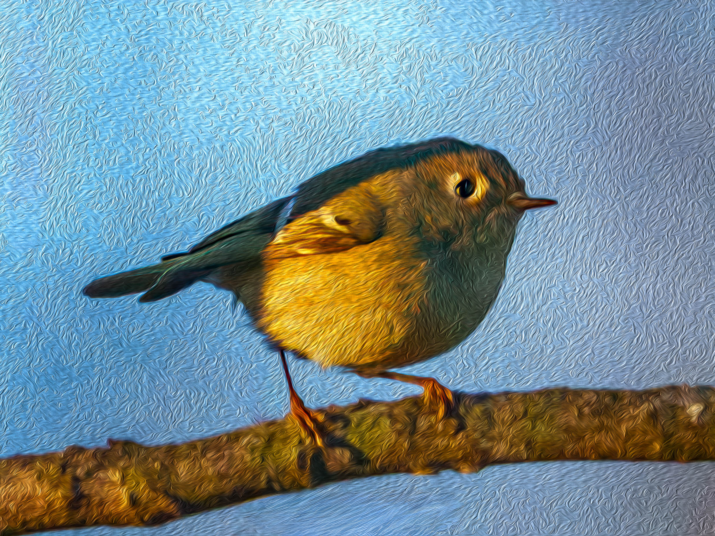 Photography Prints: The Quiet Power Move in a Collector’s Portfolio