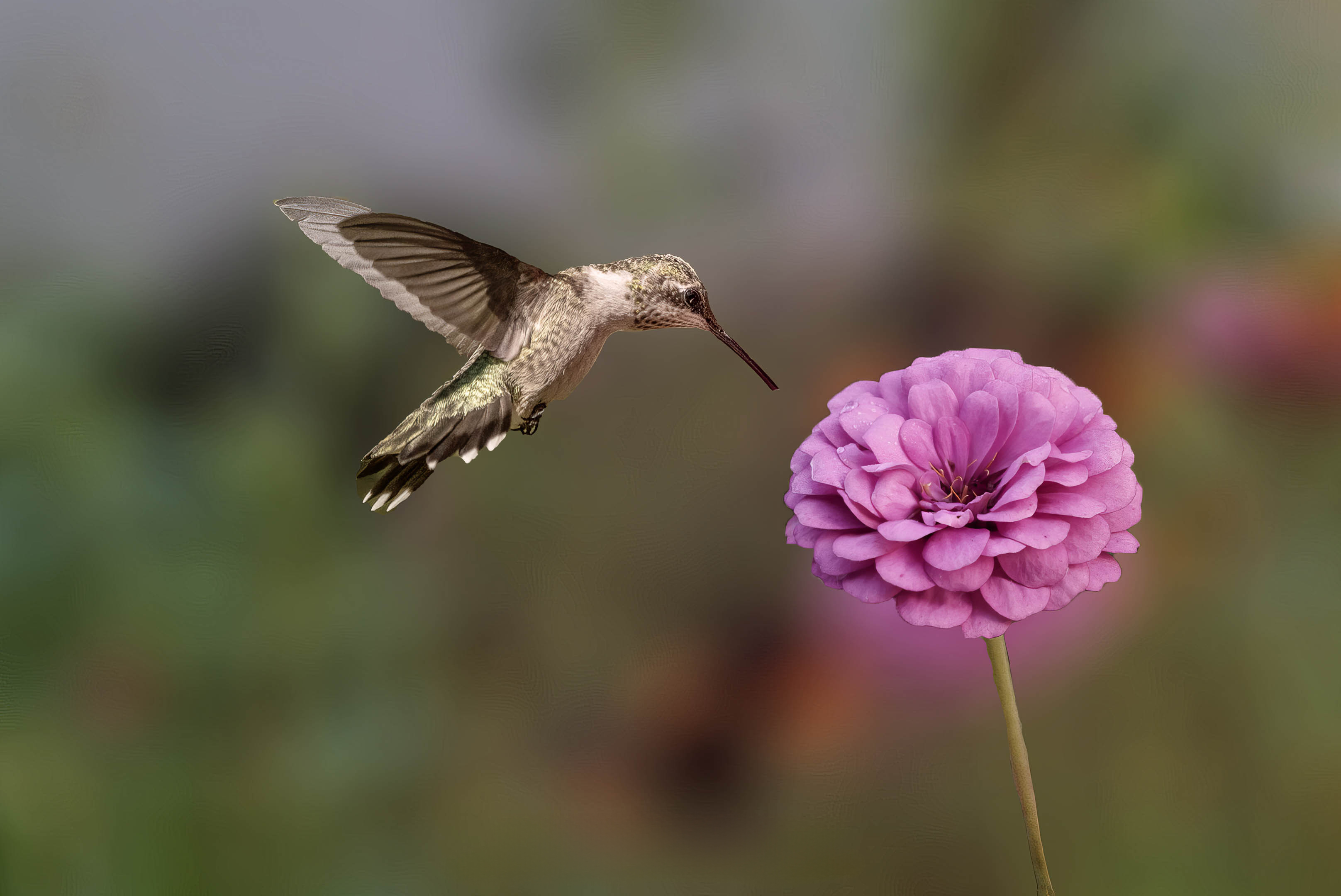 Spotting Photography That Adds Depth and Calm: A Collector’s Guide
