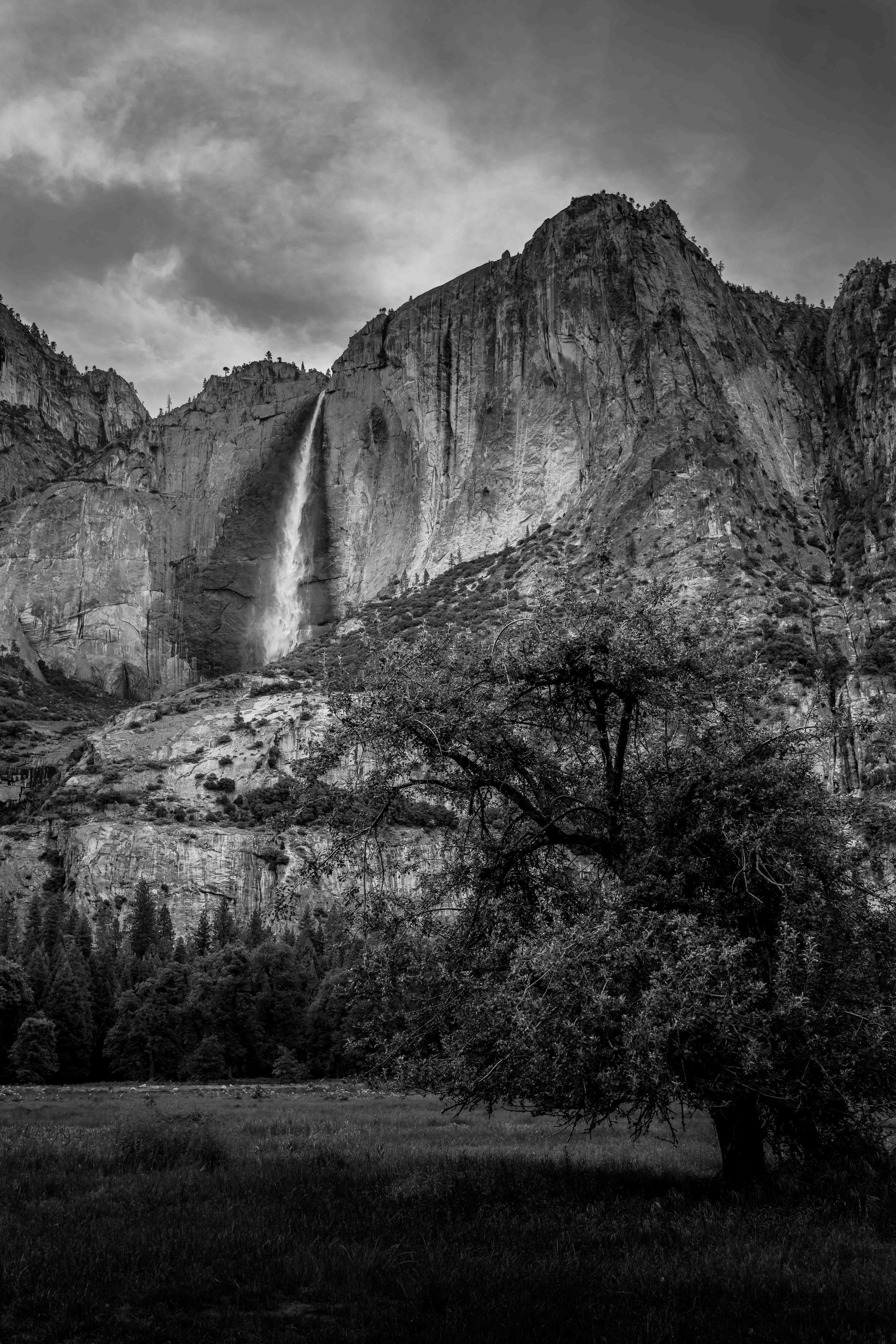 The Long Wait: How Patience Shapes Fine Art Photography