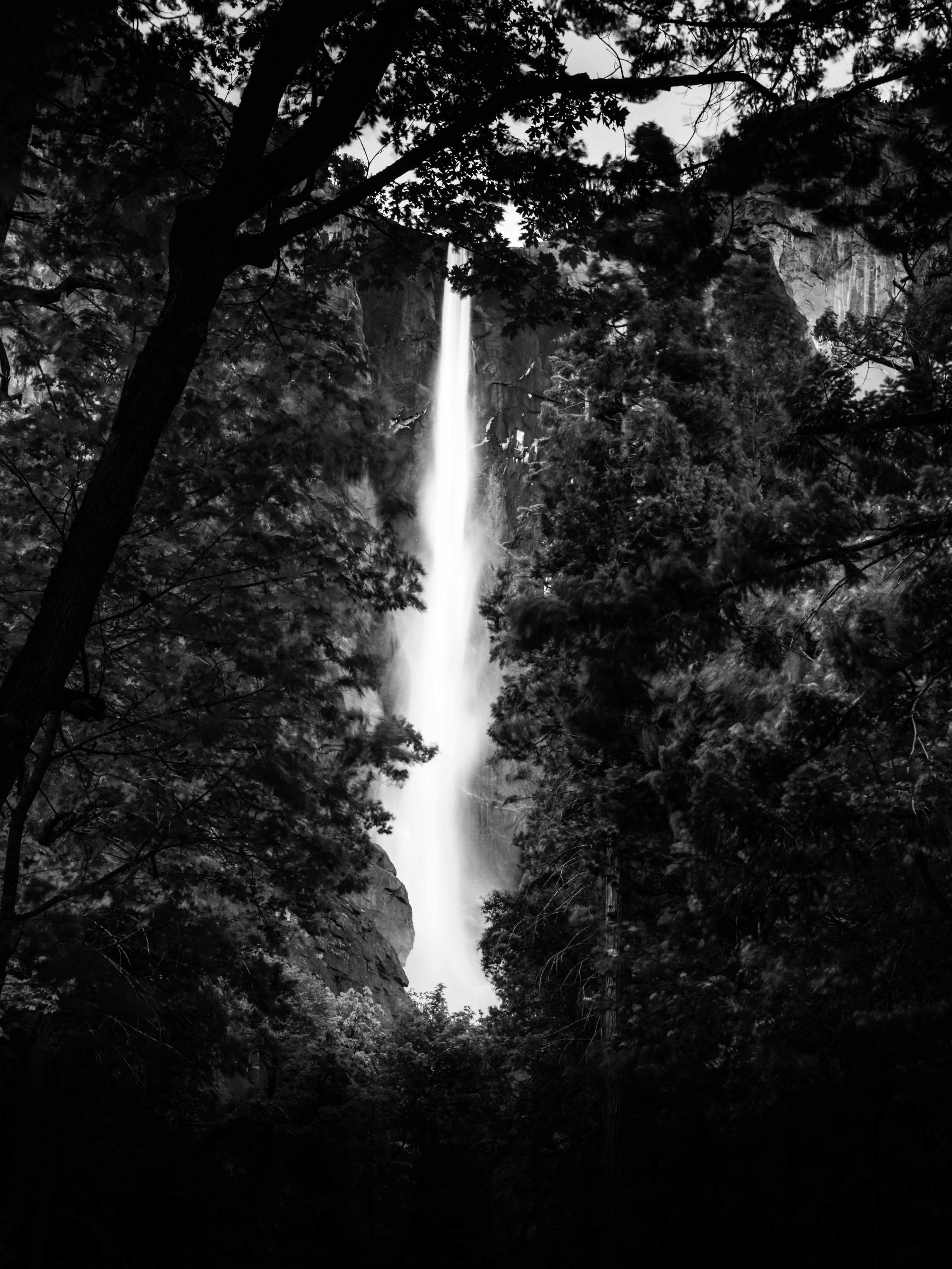 Slow Down, See More: Why Unrushed Moments Transform Photographs