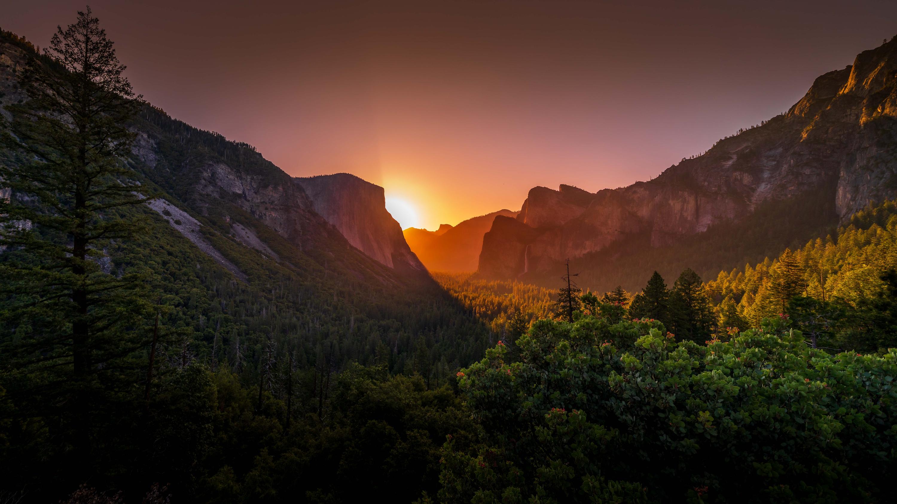 Field to Frame: How Fine Art America Helps Me Deliver the Story